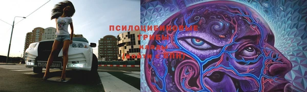 ECSTASY Бронницы