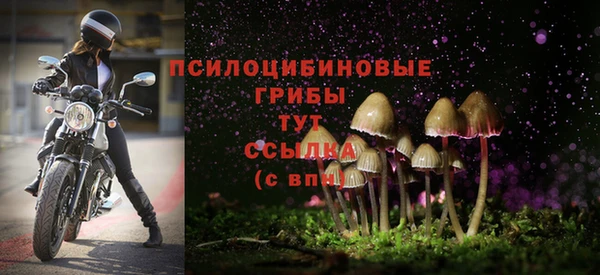 ECSTASY Бронницы