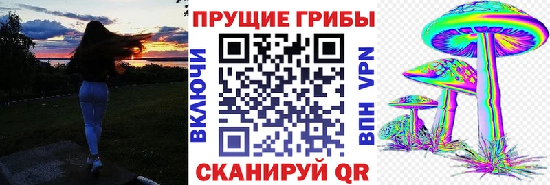 Псилоцибиновые грибы Magic Shrooms Купить закладки Выборг
